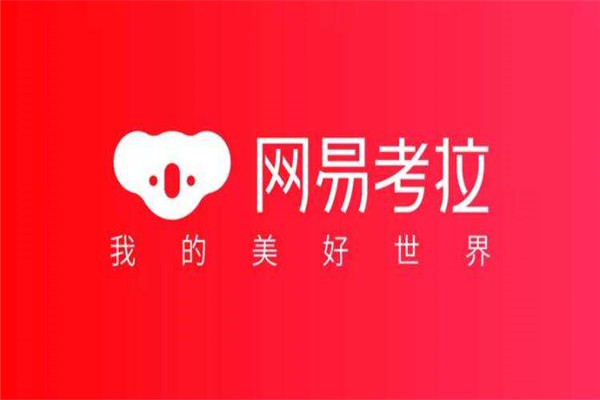 2020十大购物APP  成立三年就上市 号称不差钱