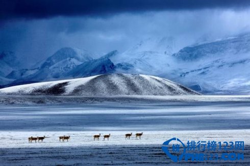 盘点西藏的十大顶级美景