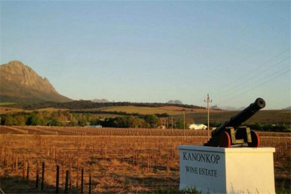 南非红酒哪个牌子好？南非红酒品牌排行榜
