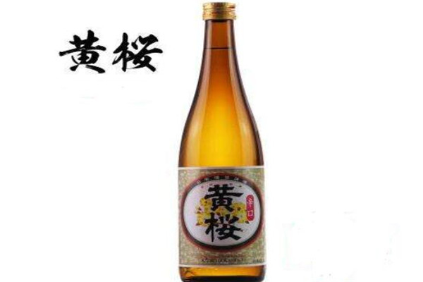 日本好喝的清酒有哪些？十大日本清酒品牌推荐