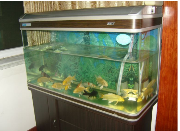 鱼缸什么牌子的好 中国十大鱼缸品牌排名  