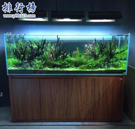 什么牌子的水族箱好？2018水族箱十大品牌排行榜推荐