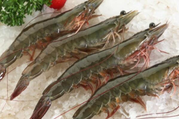最常见的十种食用虾品种，罗氏沼虾上榜，第一在海鲜市场最常见