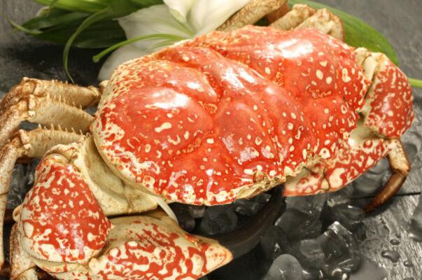 全球十大螃蟹品种，帝王蟹上榜，第六是日本三大名蟹之一