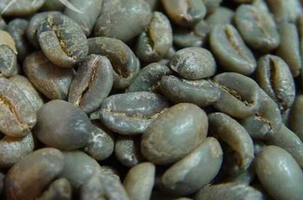 世界十大顶级咖啡豆，瑰夏咖啡上榜，第七是世界上最昂贵的咖啡