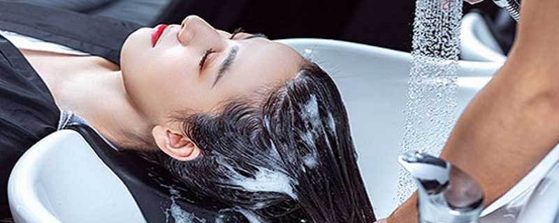 皂角洗头发有什么功效  皂角洗头发的功效有哪些