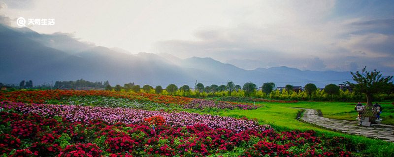 通化市春季赏花去哪里  通化市春天赏花的地方