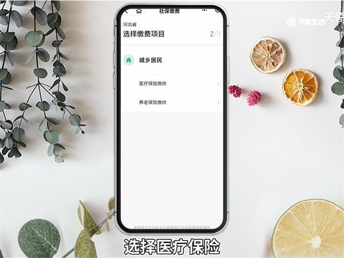 合作医疗保险网上怎么交费微信 合作医疗保险网微信上怎么交费