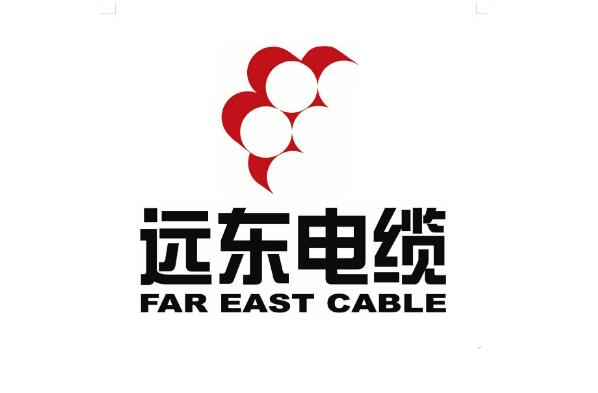 国内十大电线品牌排行榜 熊猫电线上榜，远东电缆排名第一