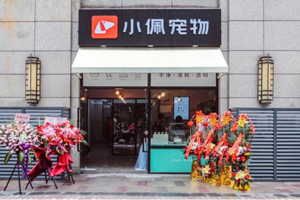 宠物店连锁品牌排行前十名，圣宠宠物上榜，第二有六千家连锁店