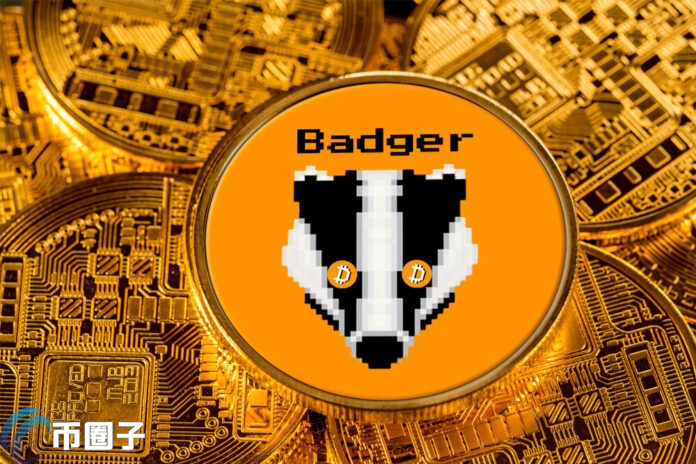 BADGER是什么币种？BADGER币前景怎么样？