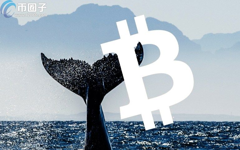 比特币鲸鱼账户是什么意思？币圈术语解释