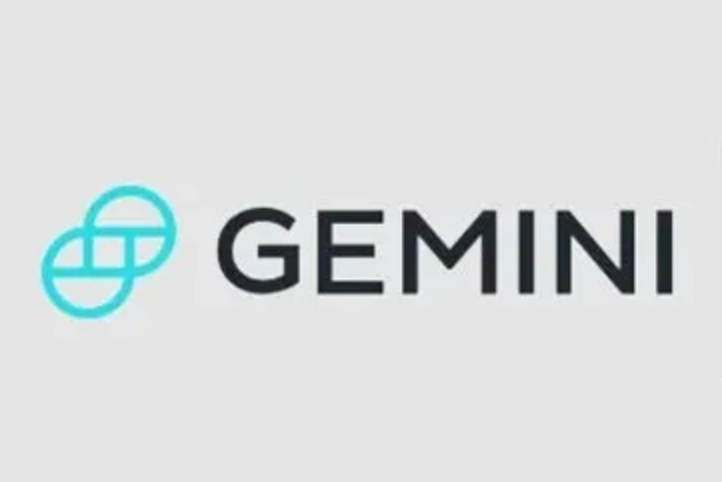 Gemini官方网站怎么登陆不上去？