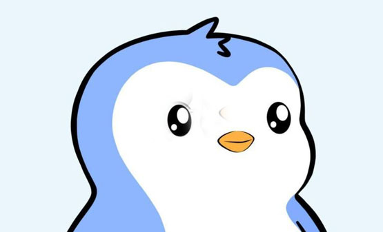 Canary Capital申请胖企鹅代币PENGU结合NFT的ETF 美国首个加密货币NFT ETF或将诞生