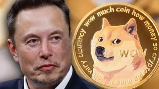马斯克澄清美国政府不用狗狗币 DOGE与政府效率部纯属命名巧合  狗狗币价格应声下跌4.1% 马斯克双线履职挑战升级