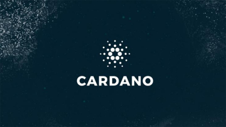 Cardano 钱包是什么？它的热钱包与冷钱包有何区别？