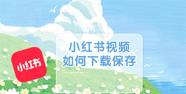 小红书视频怎么下载保存到手机相册 小红书APP内保存和网页链接下载详细教程