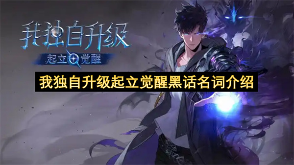 我独自升级起立觉醒黑话术语大全 2026年新手必看攻略