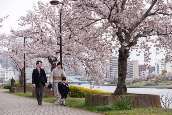 日本东京都内的赏樱胜地