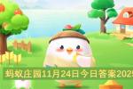 蚂蚁庄园11月24日答案2026 蚂蚁庄园今日答题解析 恒星是不动的星吗 啤酒肚真是啤酒喝出来的吗