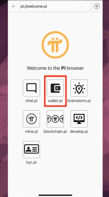 进入wallet.pi入口