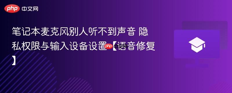 笔记本麦克风别人听不到声音 隐私权限与输入设备设置【语音修复】