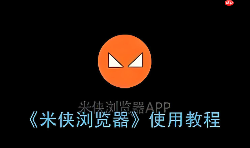 米侠浏览器自动填充失效怎么办 米侠浏览器表单自动填写设置与修复全攻略