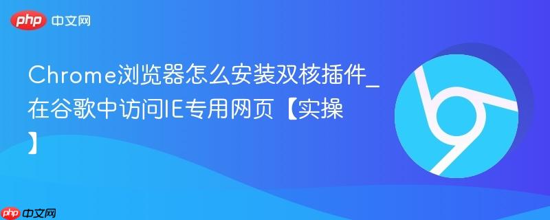 Chrome浏览器怎么安装双核插件 2026年最新版在谷歌中访问IE专用网页实操教程