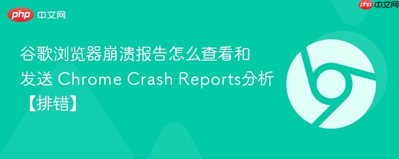 谷歌浏览器崩溃报告怎么查看和发送 2026年Chrome Crash Reports详细教程【排错指南】