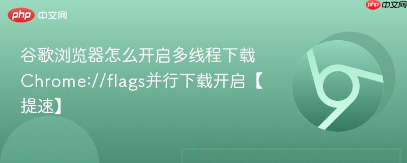 谷歌浏览器怎么开启多线程下载 Chrome://flags并行下载开启【提速】