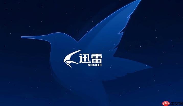 迅雷浏览器一键进入网页版 迅雷浏览器在线使用官方平台