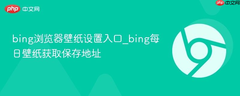 Bing浏览器壁纸设置入口在哪？Bing每日壁纸获取地址 API调用方法与本地保存技巧