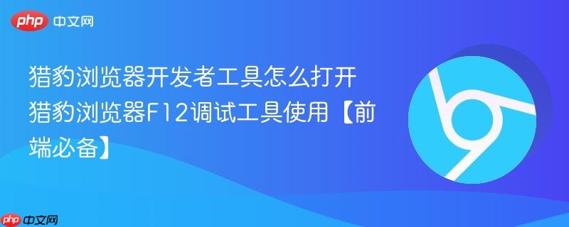 猎豹浏览器开发者工具怎么打开 猎豹浏览器F12调试工具使用【前端必备】