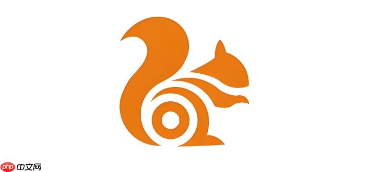 UC浏览器视频花屏怎么办 5个亲测有效的画面渲染优化方法解决卡顿闪退问题