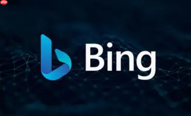 必应国际版官网入口网页版｜Bing全球搜索官网直达链接 免费在线使用支持中英文切换