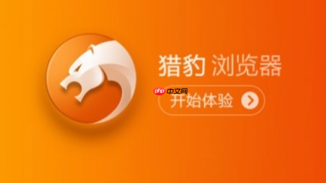猎豹浏览器官网登录入口2026 猎豹浏览器在线访问链接 猎豹浏览器下载安装使用教程