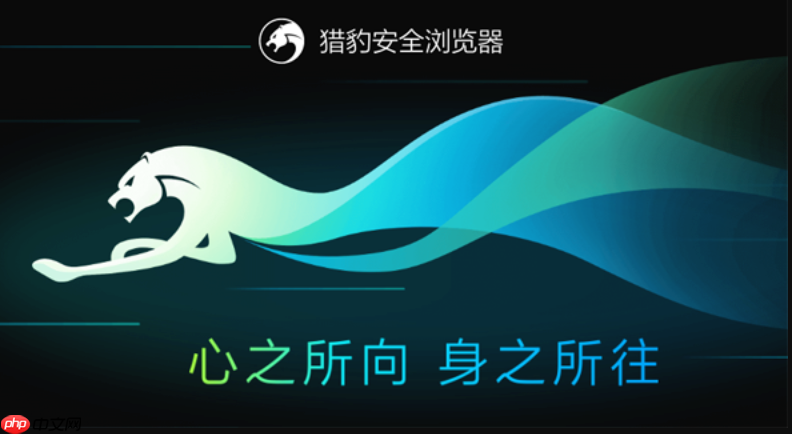 猎豹浏览器最新官方主页网址 猎豹浏览器官网链接直达首页入口