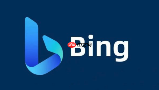 Bing搜索最新官方访问地址 Bing搜索平台主页直达链接入口
