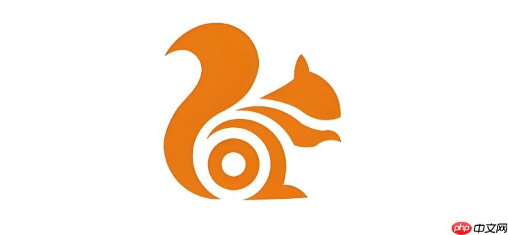 UC浏览器怎么找回上次未关闭的网页_UC浏览器恢复已关闭标签页方法
