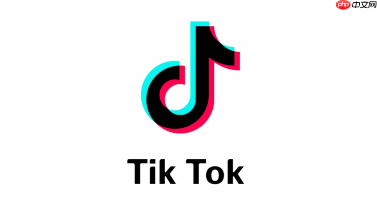 TikTok国际版2026年官方登录入口直达 TikTok国际版在线访问地址与注册使用教程
