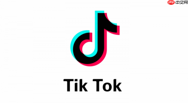 TikTok国际版2026年官方登录入口直达 TikTok国际版在线访问地址与注册使用教程