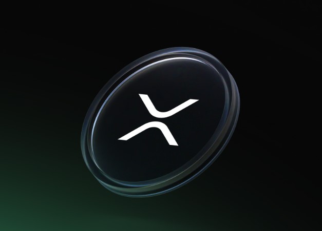 XRP持仓分布可视化图表