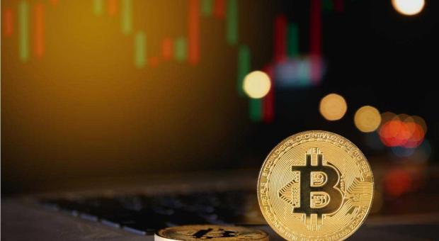 比特币开发者有多少比特币 2026年最新数量分析与中本聪持有量揭秘