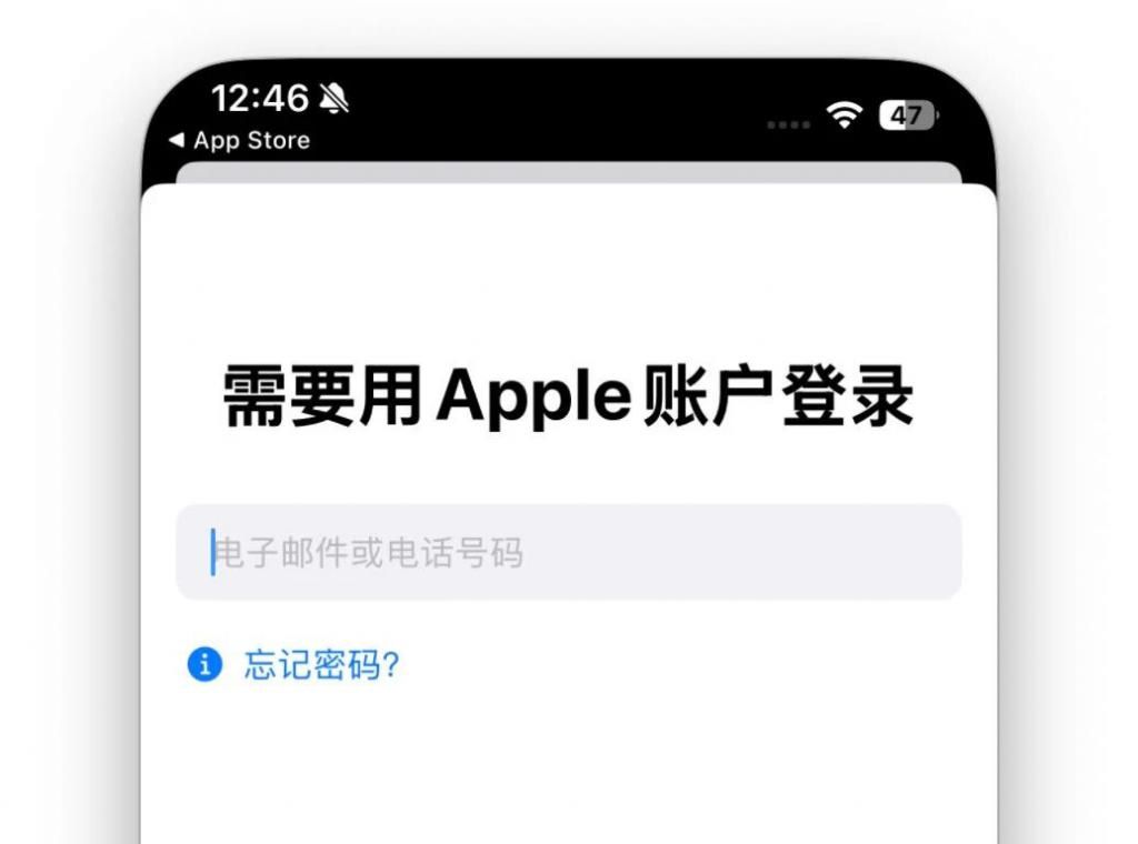 Developer应用登录界面