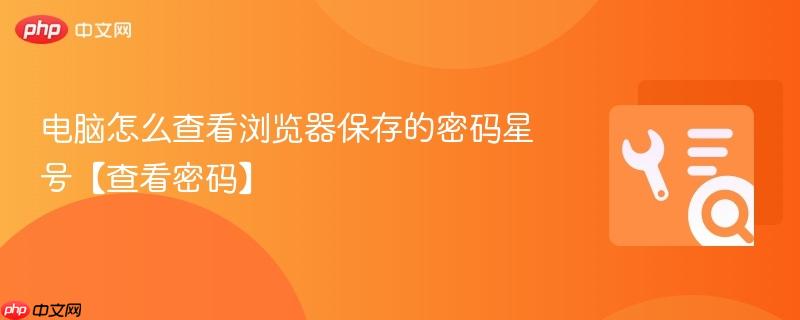 2026年电脑怎么查看浏览器保存的密码星号 详细教程教您找回已存密码