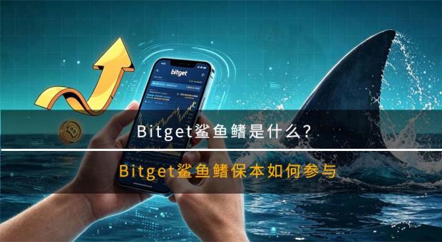 Bitget鲨鱼鳍理财怎么玩？2026年鲨鱼鳍保本收益规则与实操教程