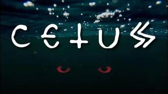 CETUS币2026年潜力分析及龙头可能性解读